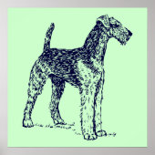 Airedale-hond Poster (Voorkant)