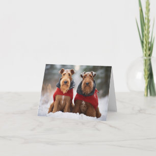 Airedale Honden in Kersttruien Kaart