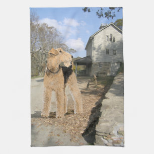 Airedale in de stalwerf theedoek
