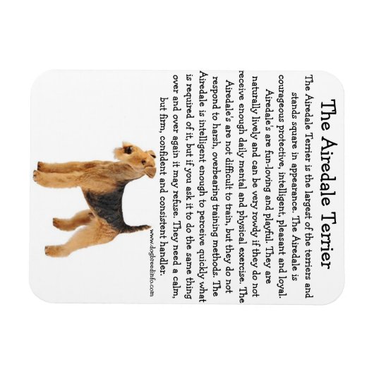Airedale Info Magneet (Horizontaal)