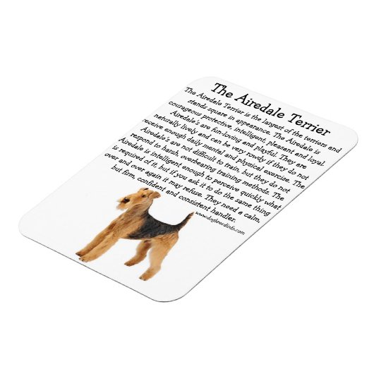 Airedale Info Magneet (Linkerzijde)