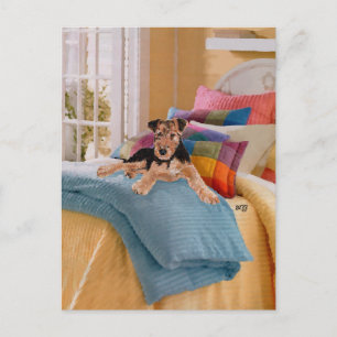 Airedale, Lakeland of Welsh Terrier Puppy Briefkaart
