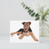 Airedale, Lakeland, Welsh Terrier Pup Briefkaart (Staand voorkant)