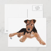 Airedale, Lakeland, Welsh Terrier Pup Briefkaart (Voorkant / Achterkant)
