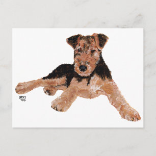 Airedale, Lakeland, Welsh Terrier Pup Briefkaart