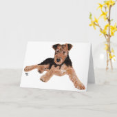 Airedale, Lakeland, Welsh Terrier Pup Kaart (Gele Bloem)