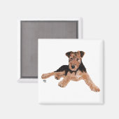Airedale, Lakeland, Welsh Terrier Pup Magneet (Voorkant / Achterkant)
