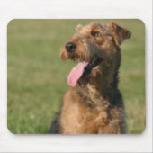Airedale Mousepad Muismat (Voorkant)