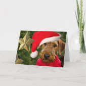 Airedale Season Greetings kaart (Voorkant)