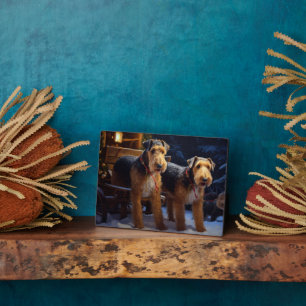 Airedale Sneeuw Slede Rit Kerst Decoratie   Fotoplaat