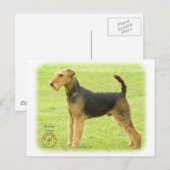 Airedale Terrier 8T092D-16 Briefkaart (Voorkant / Achterkant)