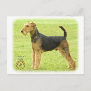 Airedale Terrier 8T092D-16 Briefkaart
