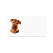 Airedale Terrier adreslabel Etiket (Voorkant)