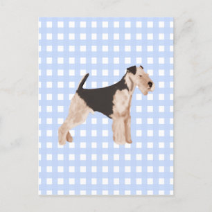 Airedale Terrier Blue Gingham Briefkaart