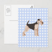 Airedale Terrier Blue Gingham Briefkaart (Voorkant / Achterkant)