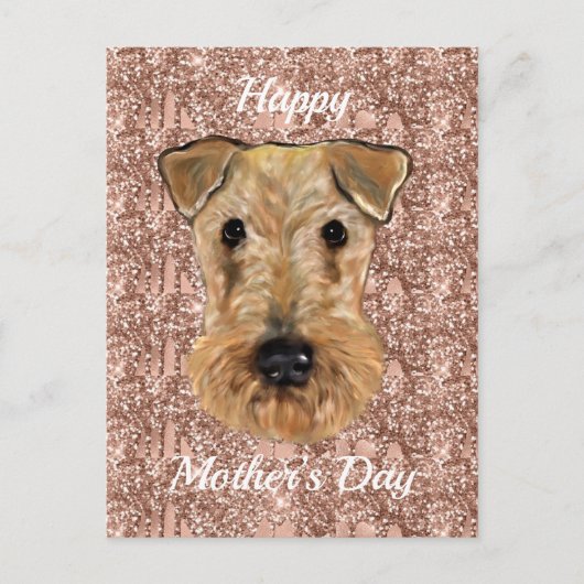 AIREDALE TERRIER BRIEFKAART (Voorkant)