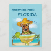 Airedale Terrier  Briefkaart (Voorkant)