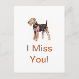 Airedale Terrier Briefkaart