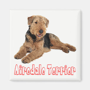 Airedale Terrier Bruine & Zwarte Puppy Hond Rode L Magneet