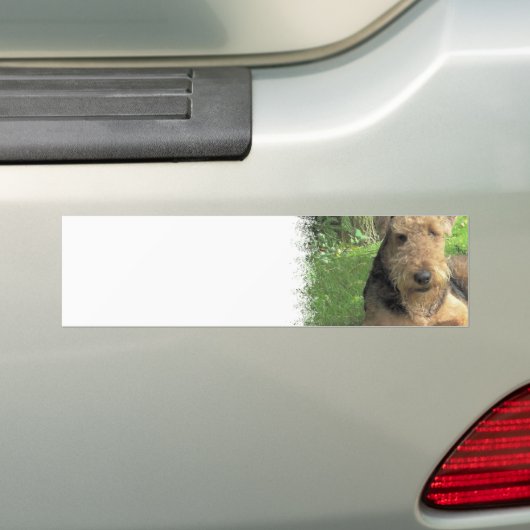Airedale Terrier Bumpersticker (Op auto)