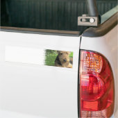 Airedale Terrier Bumpersticker (Op Truck)