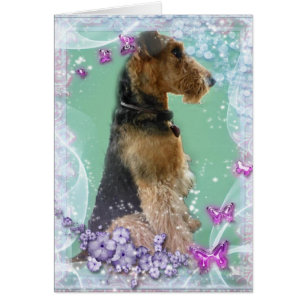 Airedale Terrier Card