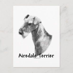 Airedale Terrier Charcoal Briefkaart