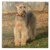 Airedale Terrier Dog Foto Tile Tegeltje (Voorkant)