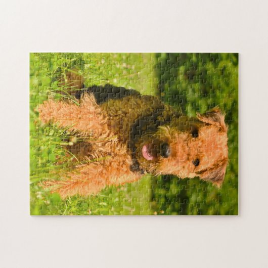 Airedale Terrier Dog. Legpuzzel (Horizontaal)