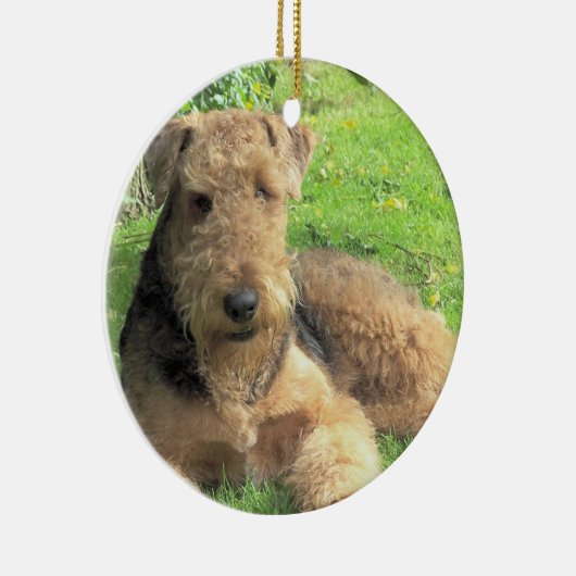 Airedale Terrier Dog Ornament (Rechts)