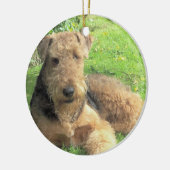 Airedale Terrier Dog Ornament (Links)