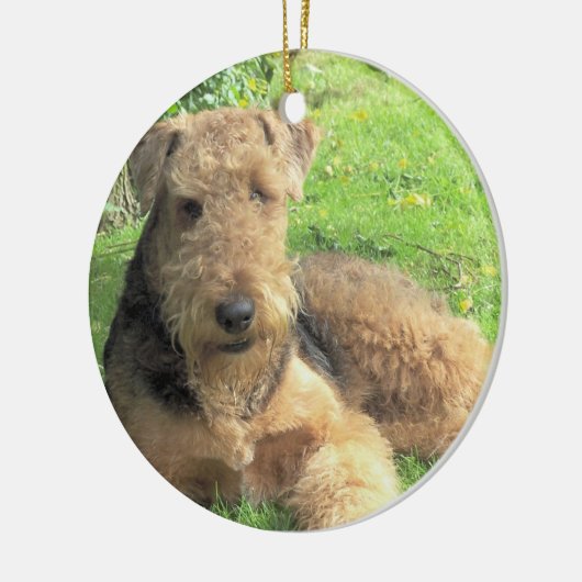 Airedale Terrier Dog Ornament (Links)