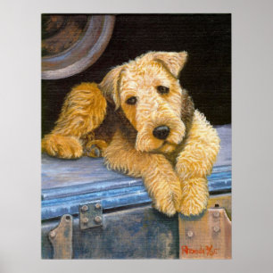 Airedale Terrier Dog Portrait Poster