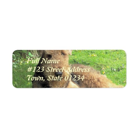 Airedale Terrier Dog Return Label (Voorkant)