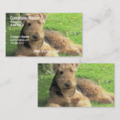 Airedale Terrier Dog Visitekaartje (Voorkant / Achterkant)