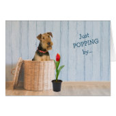 Airedale Terrier Dog Wicker Basket Birthday Card (Voorkant Horizontaal)