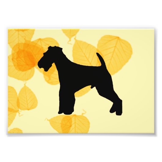 Airedale Terrier Gold Leaves Foto Afdruk (Voorkant)