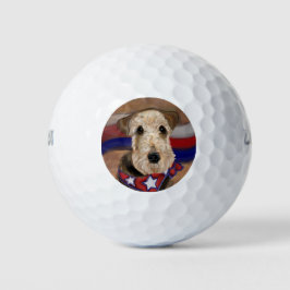AIREDALE TERRIER GOLFBALLEN
