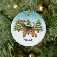 Airedale Terrier-hond besneeuwd winterbos en naam