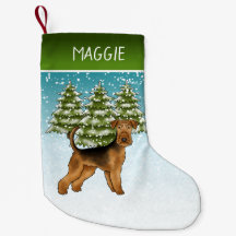 Airedale Terrier-hond Besneeuwd Winterbos En Naam