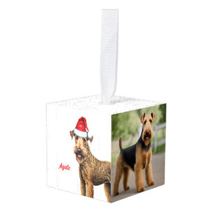 Airedale Terrier Hond Twee Foto Kerstvakantie Decoratie