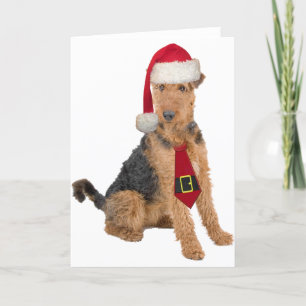 Airedale Terrier in het Pet van de Kerstman Feestdagen Kaart