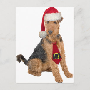 Airedale Terrier in het Pet van de Kerstman Feestdagenkaart