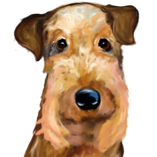 AIREDALE TERRIER KUSSEN