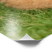 Airedale Terrier met puppy Foto Afdruk (Hoek)