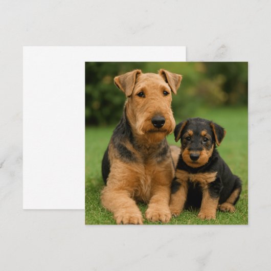 Airedale Terrier met puppy Kaart (Voorkant / Achterkant)