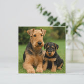 Airedale Terrier met puppy Kaart (Staand voorkant)