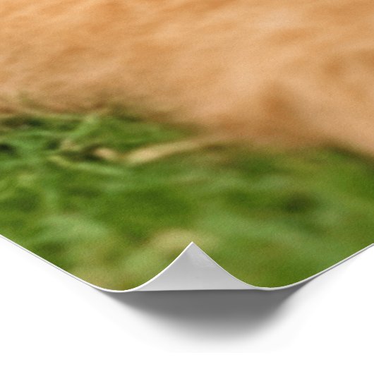 Airedale Terrier met puppy Poster (Hoek)