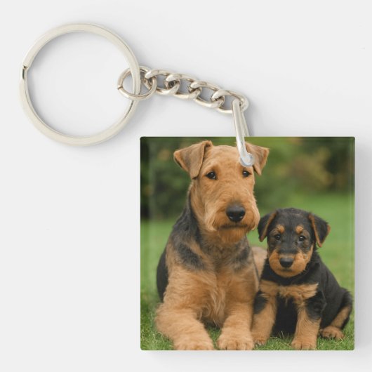 Airedale Terrier met puppy Sleutelhanger (Voorkant)