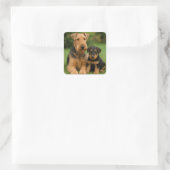 Airedale Terrier met puppy Vierkante Sticker (Tas)